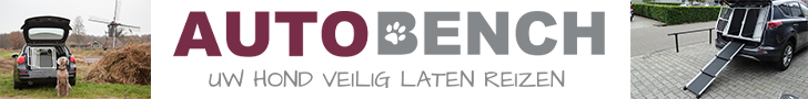 5x de beste autobench voor honden [Koopgids] (2022)