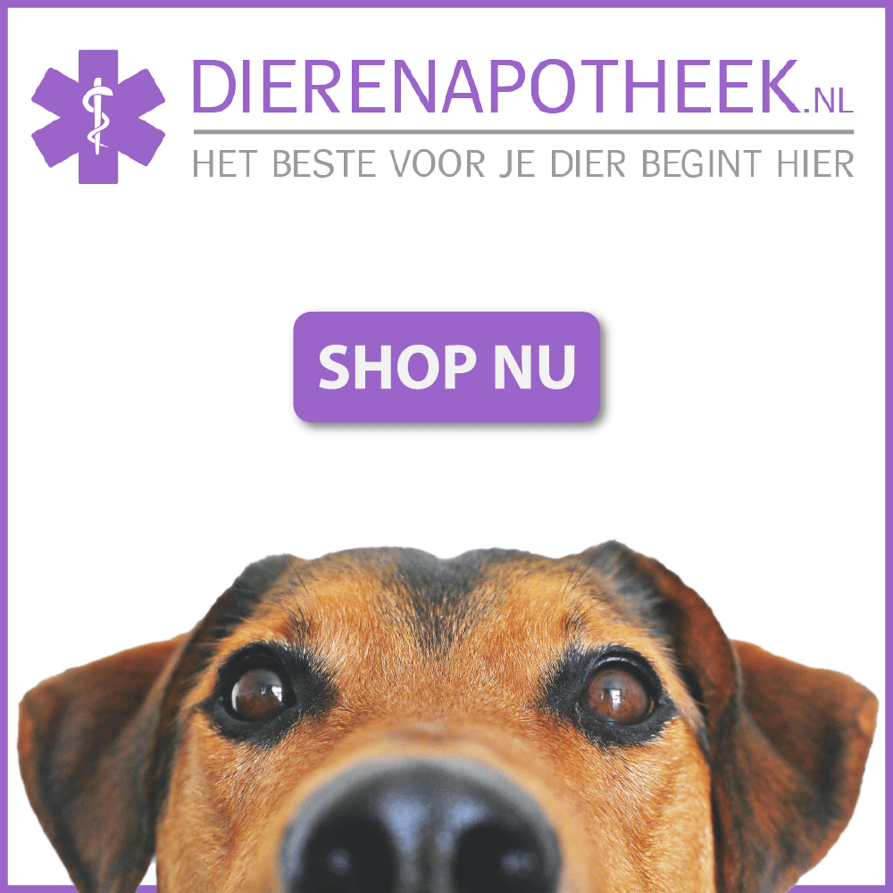 Online Dierenapotheek 