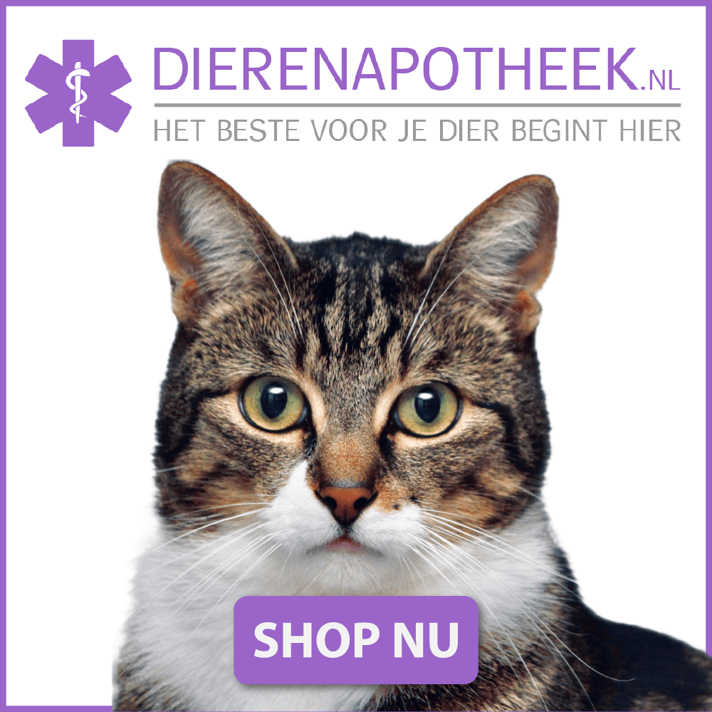 Online Dierenapotheek 