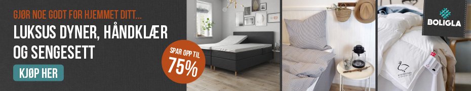 Babynest: Test viser de 10 beste babynest ([month] [year])