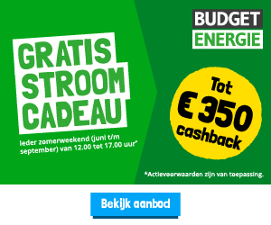 Budget Thuis